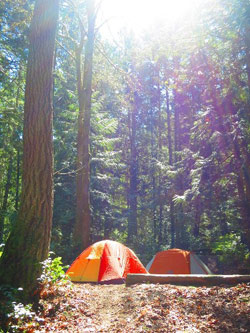 Descanso Bay Regional Park