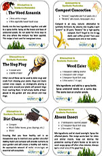 Pesticide Recipe Cards