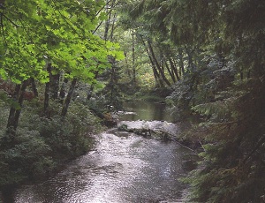 Big Qualicum River