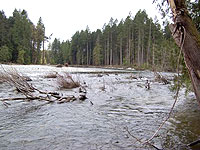 Nanaimo River